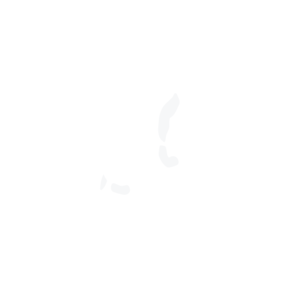 Turtle Island BA#5 - white-01