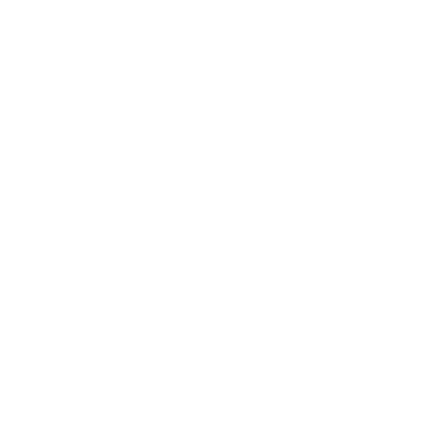 Eule Bier Turtle Island Charity