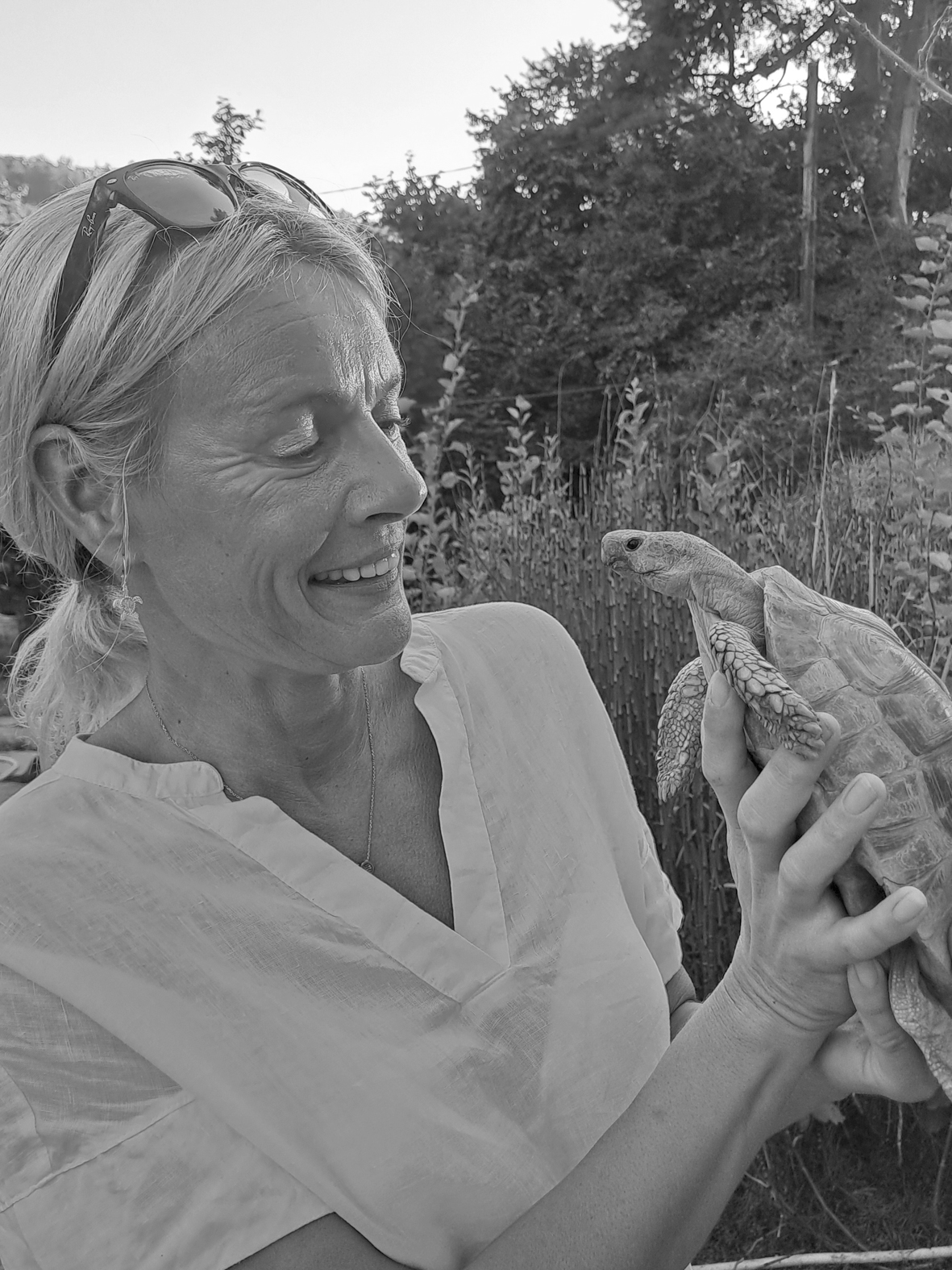 Volunteering Turtle Island Austria
